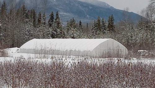 Latest company Solutions about TU Film Greenhouse Project in Canada