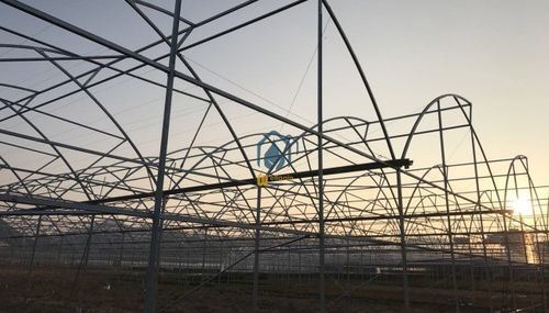 Commercial Flower Farm in Kenya