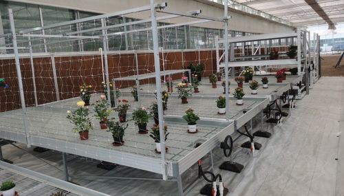 Ebb and Flow Benches in Greenhouse Application in the United States