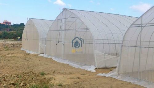 Small-Scale Vegetable Farming in Spain