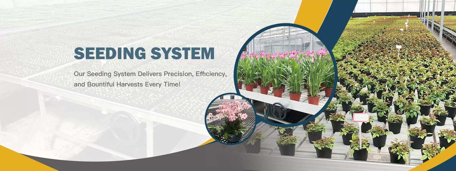 chất lượng nhà kính đa dải nhà máy sản xuất