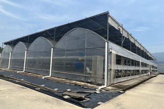 Good price Commercial Agricultural Multi Span Film Vegetables Greenhouse With Irrigation System online