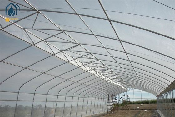 Prezzo buono Tonnello personalizzabile Multi Span serra 5m - 12m di larghezza con sistema di irrigazione a goccia in linea