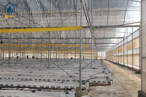 Harga bagus Perkebunan Plastik Jelas Rumah Kaca tahan UV PE Film Rumah Kaca Untuk Peternakan on line