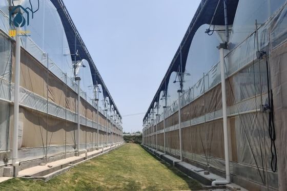 Good price Galvanized Steel Frame PE Film Greenhouse Agriculture Multi Span Tunnel Greenhouse online