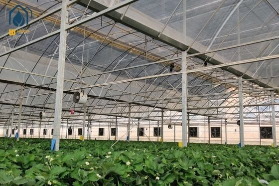Ein guter Preis. Mehrspannung Plastikfolie Gewächshaus Gemüse Obst Blumen Hydroponisches System Gewächshaus Online