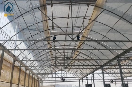 Good price Plastic PO Film Multi Span Greenhouse For Strawberry Galvanized Steel Frame online