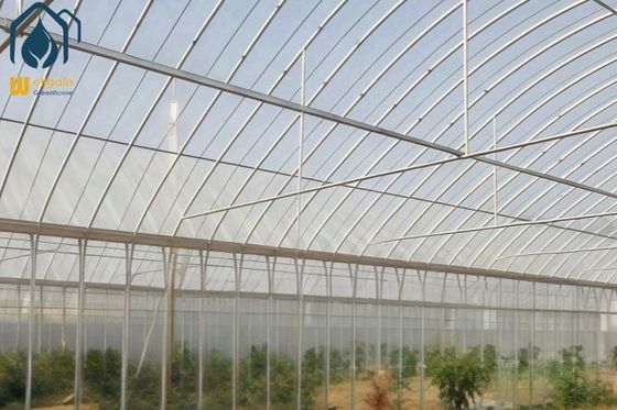 Bon prix Agriculture Serre poly-tunnel à longue portée en ligne