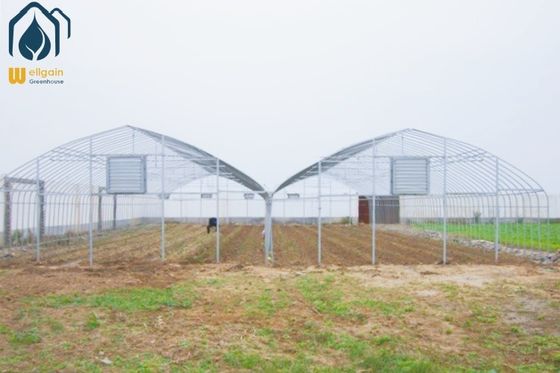 Bom preço Estufas pré-fabricadas agrícolas de baixo custo para o cultivo de tomate e pimenta on-line