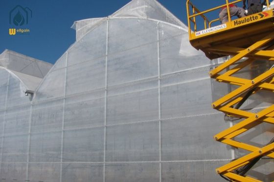 Good price Large Polyethylene Film Greenhouse Transparent Horticulture Greenhouse Customized online