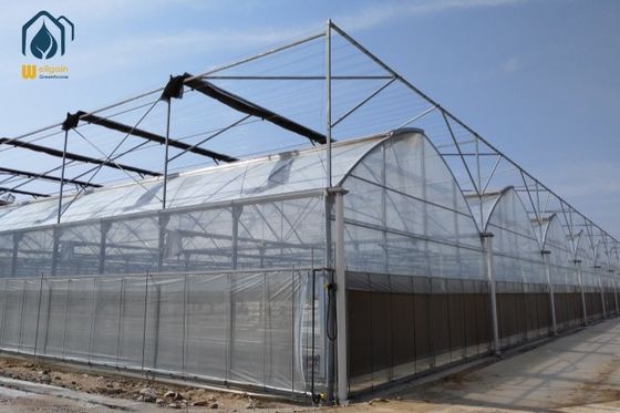 İyi bir fiyat. Korozyona dayanıklı galvanizli çelik sera dayanıklı tarımsal sera çevrimiçi