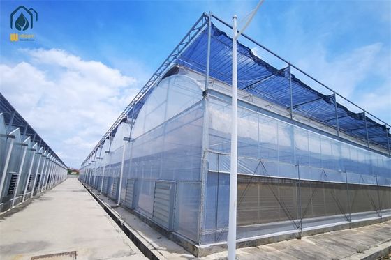 Goede prijs. Tomatenlachute Hydroponische kassen Landbouw Versterkte plastic kassen online