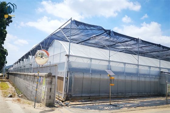 Good price Commercial Multi Span Plastic Agricultural Greenhouse With Polyethylene Cover online