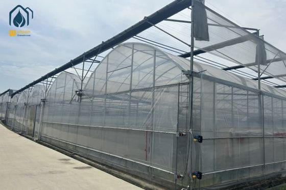 Bon prix Serre modulaire multi-étendue clés en main Serres sur mesure avec ventilation et refroidissement en ligne