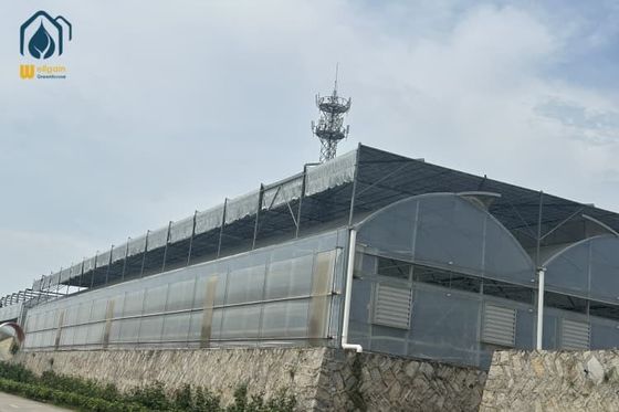 Giá tốt Nhà kính đa nhịp chìa khóa trao tay, nhà kính nhựa lớn dạng mô-đun, hệ thống tưới tiên tiến trực tuyến