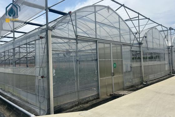 Bon prix Serre multi-étendue personnalisée Système de serre commerciale pour tomates et poivrons en ligne