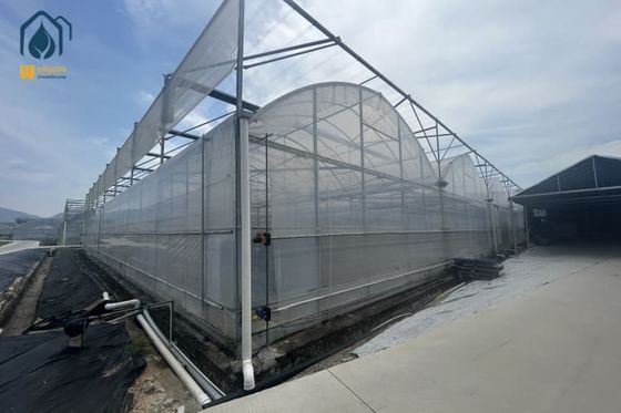 Giá tốt Nhà kính nhựa Multi Span Nhà kính năng lượng mặt trời tùy chỉnh cho nông nghiệp thân thiện với môi trường bền vững trực tuyến