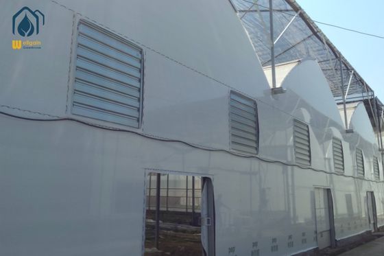 Buen precio Invernadero Multispan Integrado de Tomates para Agricultura Hortícola, Invernaderos con Estructura Metálica en línea