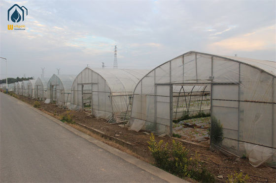 Good price Arched Temperature Control Tunnel Green Houses With Outside Shading System online