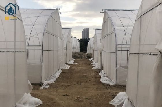 Bon prix Serre galvanisée en acier pour tunnels Serre à couverture en PE à longue portée en ligne