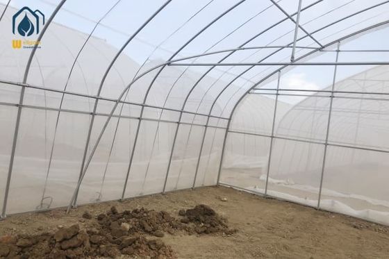 Giá tốt Nhà kính vòm nhựa một nhịp, nhà kính trồng rau nông nghiệp, nhà kính trong suốt trực tuyến