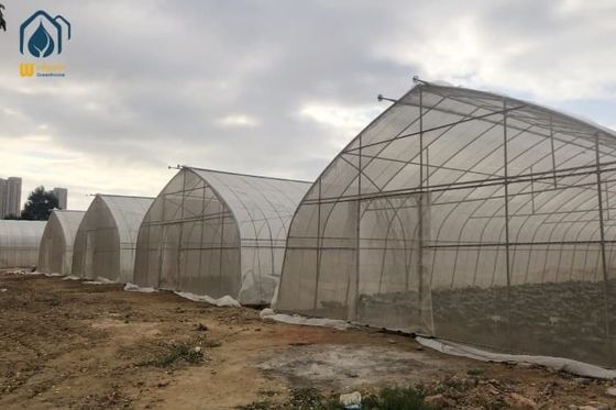 Bom preço Estufas Comerciais de Filme PE para Pequena Agricultura, Personalizadas on-line
