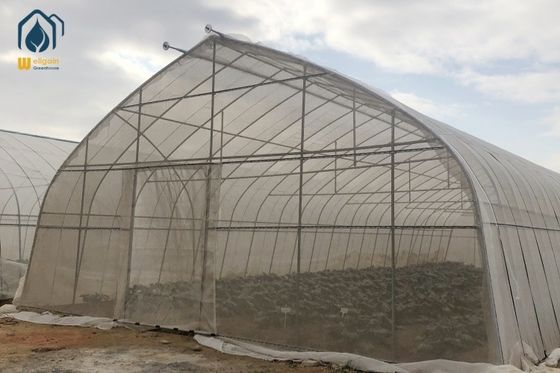 Good price Oval Tube Multi Span Film Greenhouse Arched Commercial Greenhouse Frames online