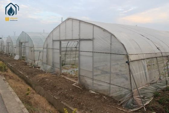 좋은 가격 2.5m - 4.5m 상업 터널 온실 농업 폴리 터널 온실 온라인으로