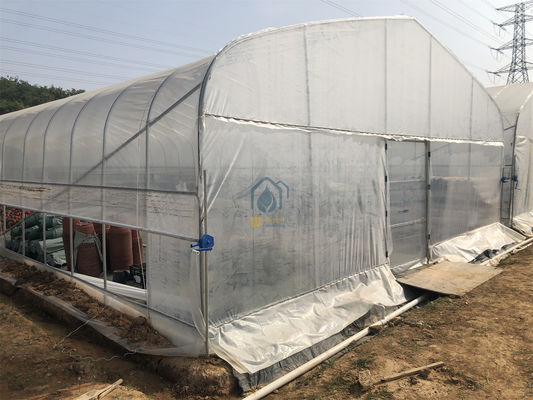 Prezzo buono PE PO Film di plastica a rotoli Serre Ventilazioni tunnel Serre per l'agricoltura in linea