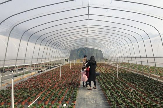 Good price UV Block Plastic Covering Greenhouse Galvanized Steel Frame Greenhouses For Commercial Agriculture online