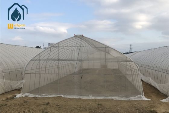 Good price Full Open Roof Greenhouse Tunnel Type Roof Vent Greenhouse For Agriculture Farming online