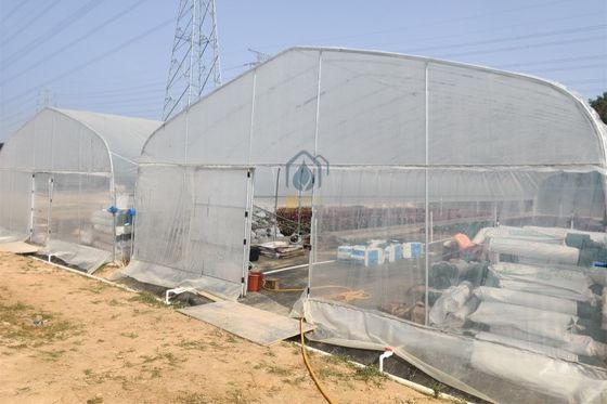 Good price Agriculture High Tunnel Greenhouse Heat Preservation / Rain Protection Walk In Greenhouse online