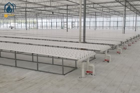 Ein guter Preis. Gewächshausgemüse Salat Hydroponiksystem NFT Vertikale Hydroponiksysteme Online