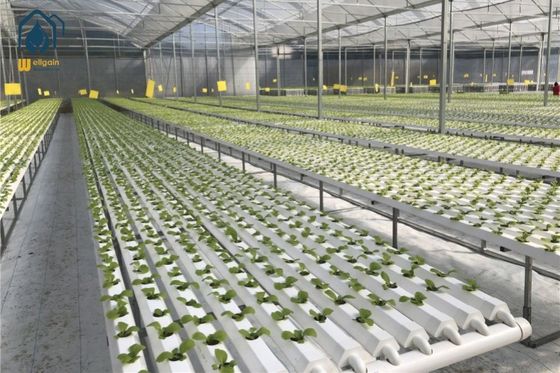 Bom preço Sistema de cultivo hidropônico personalizado Tubo NFT de PVC hidropônico para plantio em estufa on-line