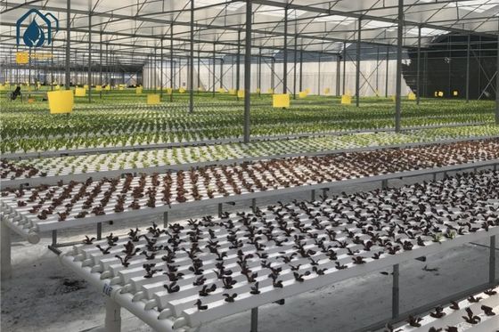 Buen precio Sistema hidropónico de cultivo inteligente para interiores con tubos de PVC, sistemas hidropónicos comerciales en línea