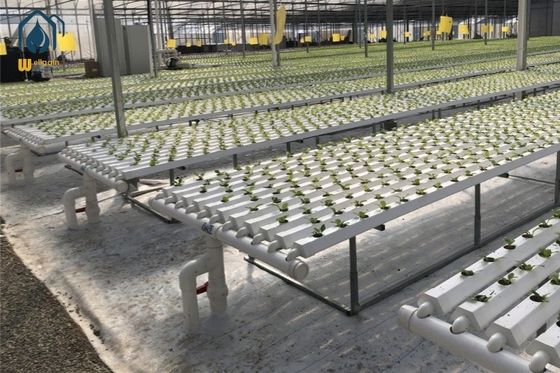 Buen precio Sistema de plantación hidropónica de 100 mm, pequeños canales de plantación de vegetales personalizados en línea
