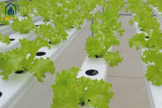 Goede prijs. Soilless Hydroponic Tube System Lichte hydroponische NFT-buizen Duurzaam met verwijderbaar deksel online