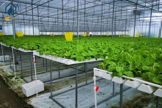 Giá tốt Hệ thống trồng rau thủy canh thẳng đứng trong nhà bằng PVC tùy chỉnh trực tuyến