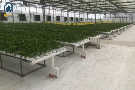 Good price NFT Hydroponic PVC Pipe Compact Hydroponic Planting Systems Indoor With Rapid Nutrient Cycling online
