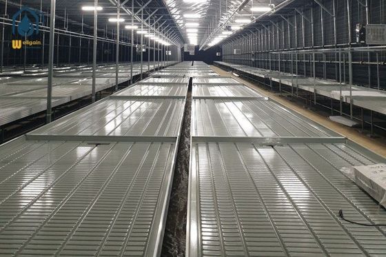 Dobra cena. Roślinne ławki obróżkowe, podnośniki hydroponiczne, stolik powodowy w Internecie