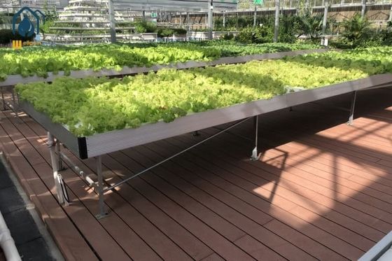 Harga bagus Pertanian Hydro Flood Tables Ukuran Custom Hydroponic Tumbuh Tables Indoor on line