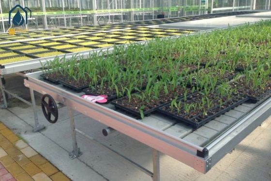 Good price Agricultural Ebb And Flow Rolling Benches Indoor Grow Room Benches online