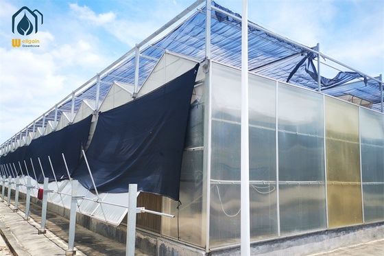 Dobra cena. 8m 9,6m 12m szerokość przedziału Hydroponic Greenhouse Gorąco ocynkowane stalowe rury cieplarniane w Internecie