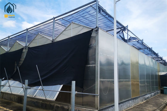 Goede prijs. Landbouw Polycarbonaat kas Commerciële pc-bord kas Op maat online
