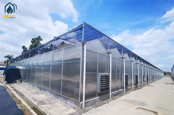Quality Crop Growth Polycarbonate Greenhouse Snow Resistant Aluminium Frame Greenhouses factory
