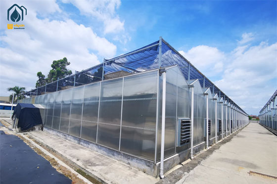 Good price Corrosion Resistant Polycarbonate Greenhouse Strong Steel Framed Greenhouse online