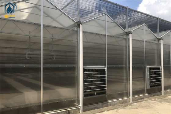Giá tốt Nhà kính thảo mộc hữu cơ Polyhouse polycarbonate tùy chỉnh với hệ thống kiểm soát khí hậu tự động trực tuyến