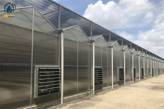 Giá tốt Nhà kính đa tường polycarbonate Nhà kính thép khung tùy chỉnh Kháng ăn mòn trực tuyến