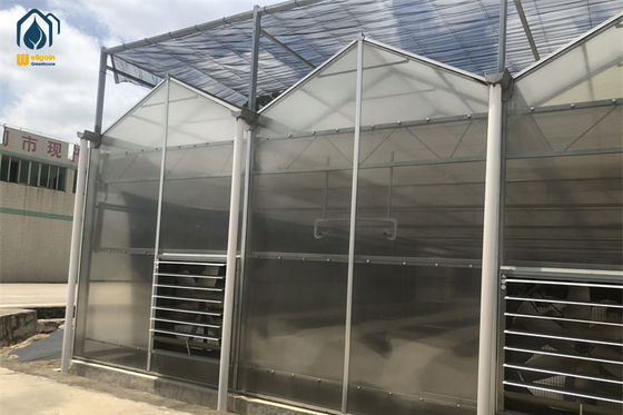 Bom preço Estufas de policarbonato com estrutura de aço para produtores orgânicos em ambientes fechados on-line