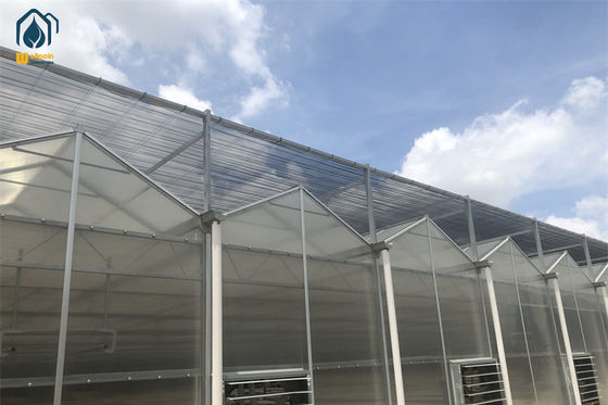 Giá tốt Nhà kính polycarbonate hai lớp, khung thép chống ăn mòn, tùy chỉnh trực tuyến